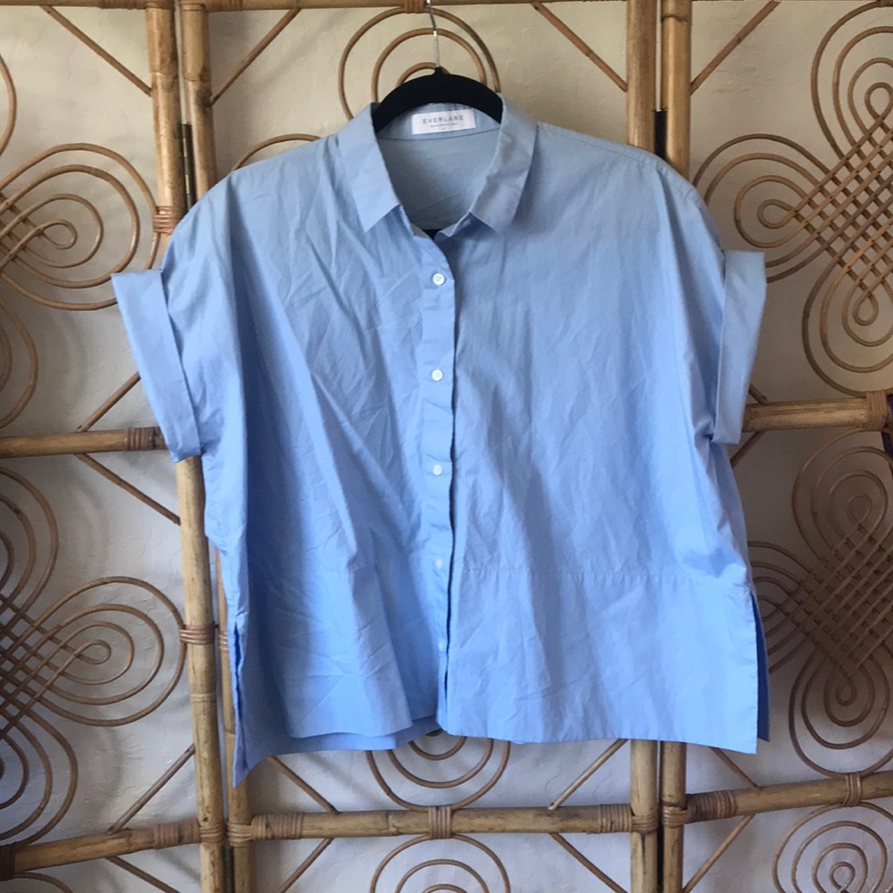 Everlane button up dress top